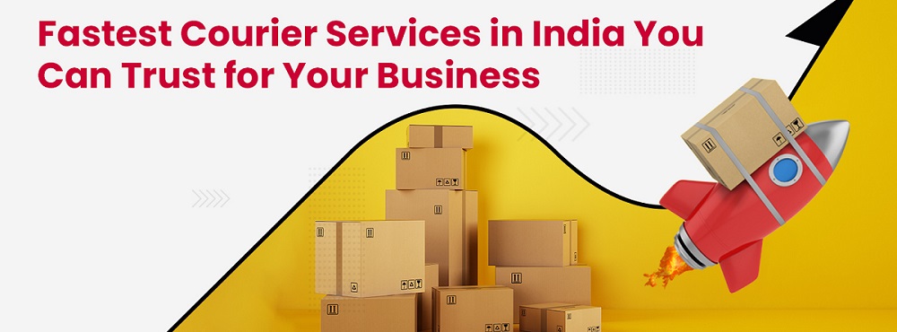 Sarshwati Logistics & Packer Movers