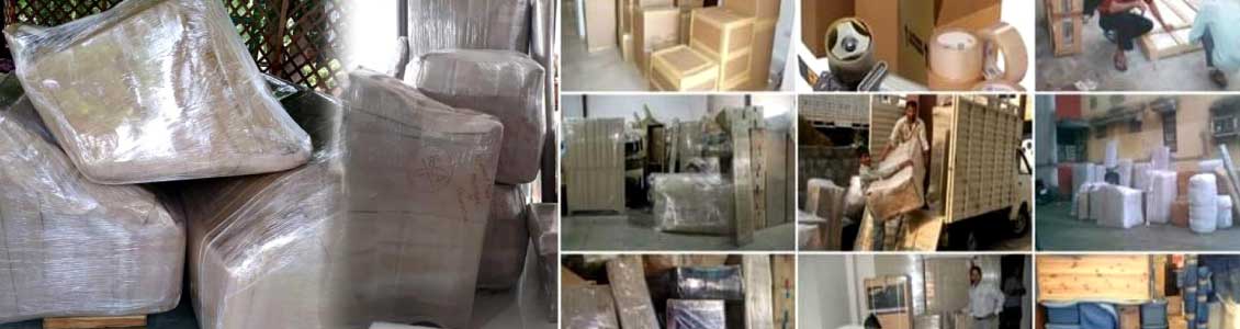 Sarshwati Logistics & Packer Movers