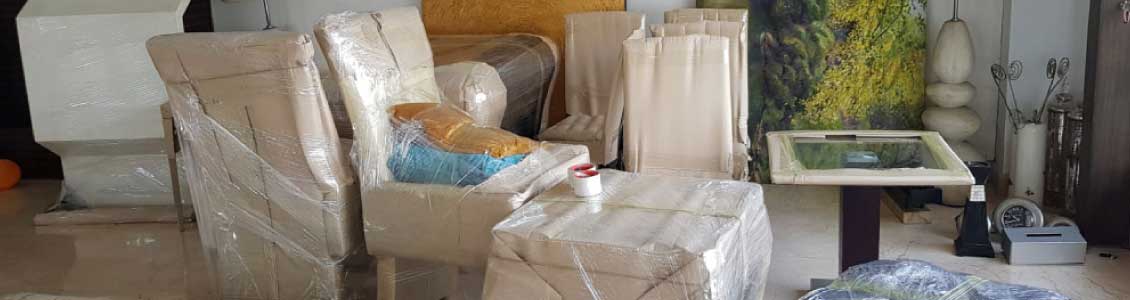 Sarshwati Logistics & Packer Movers